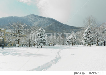 雪の藻岩山 46997568