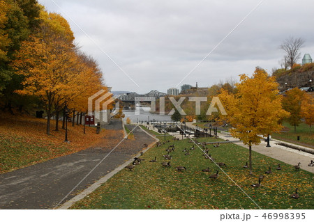 紅葉の世界遺産リドー運河 オタワ カナダ 紅葉の世界遺産リドー運河 オタワ カナダ 46998395