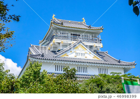 岐阜城跡 復興天守閣 46998399