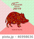 Happy Chinese New Year 2019 Year of the Pig 46998636