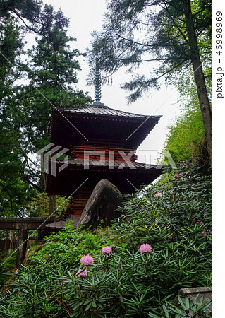 榛名神社　三重塔 46998969