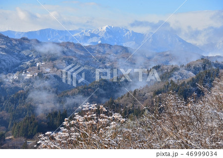 立ち昇る朝霧 46999034