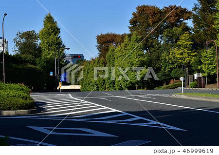 東京都千代田区永田町の憲政記念館前の交差点と街路樹を撮影した写真 46999619