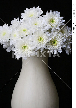 bouquet of flowers in vase isolated bouquet of flowers in vase isolated 47001033