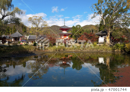 京都 大覚寺 心経宝塔 京都 大覚寺 心経宝塔 47001744
