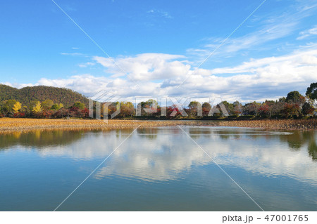 京都 大覚寺 秋の大沢池 京都 大覚寺 秋の大沢池 47001765