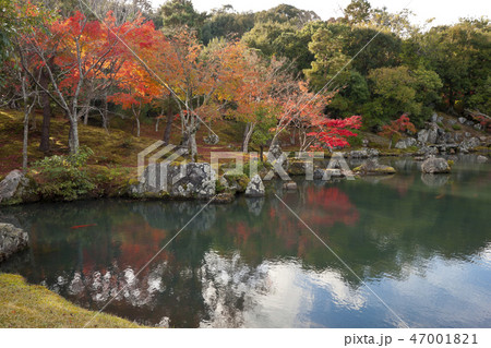 京都　天龍寺　曹源池庭園 47001821