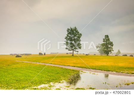Foggy summer landscape in Norway Foggy summer landscape in Norway 47002801