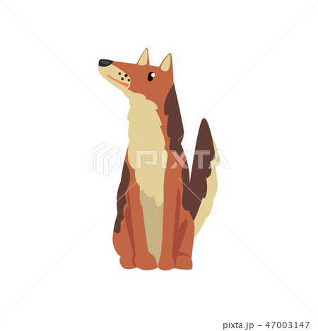 Cute dog, funny pet character, furry human friend vector Illustration 47003147