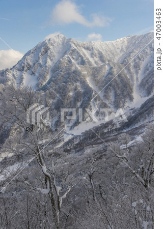 三鈷峰(鳥取県/大山) 三鈷峰(鳥取県/大山) 47003463