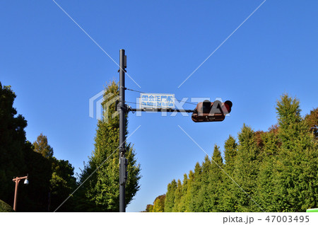 東京都千代田区永田町の国会正門前から憲政記念館前に向かう道路の街路樹と案内板を撮影した写真 47003495