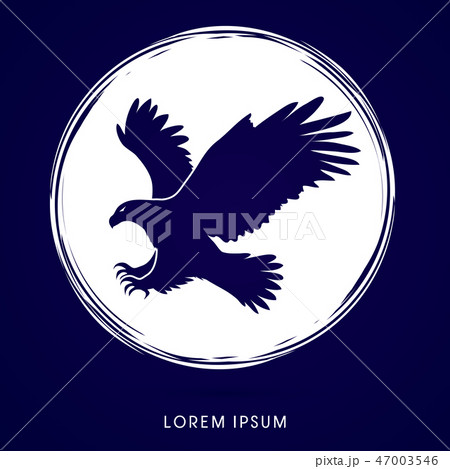 Eagle Flying Attack Graphic Vector のイラスト素材