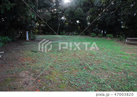 持舟城の本丸跡(静岡市駿河区) 47003820