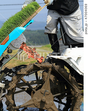 田植え機で田植えをする男性 イメージ 田植え機で田植えをする男性 イメージ 47004069