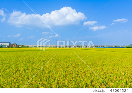 青空広がる田園風景 47004524