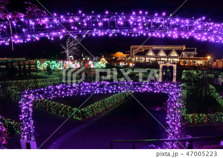 ロマンチック茨城(バラの香りのなか、100万球のきらめくLEDの光と音に妖精も誘われて踊りだす) ロマンチック茨城(バラの香りのなか、100万球のきらめくLEDの光と音に妖精も誘われて踊りだす) 47005223