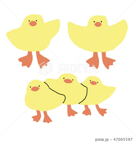 ひよこ,ひよこのトリオ 47005597