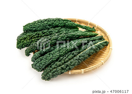 カーボロネロ 47006117