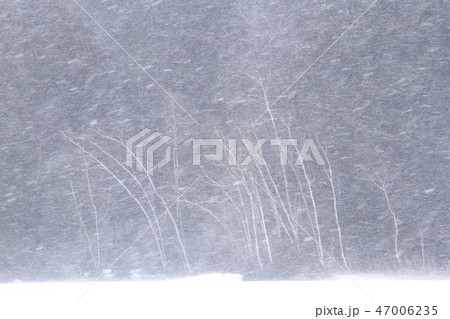 雪降り、雪降るオンネトーの春 47006235