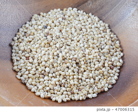 Sorghum rice background . Sorghum rice background . 47006315