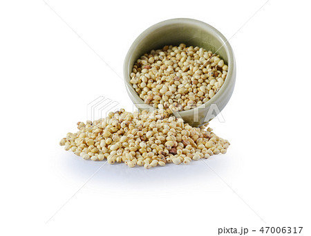 Dry grain sorghum Dry grain sorghum 47006317