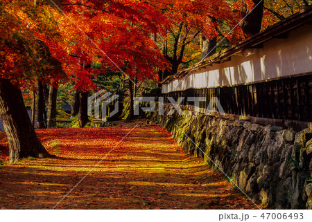圓藏寺 47006493