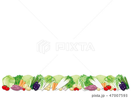 野菜 野菜 47007593