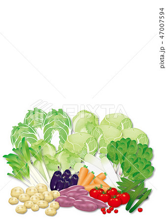 野菜 47007594