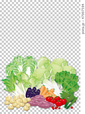 野菜 47007594
