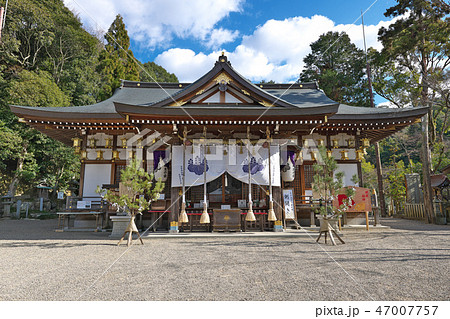 【恩智神社 拝殿】 (高解像度版) 大阪府八尾市恩智中町 47007757