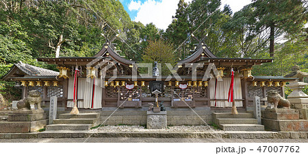 【恩智神社 本殿】 (高解像度版) 大阪府八尾市恩智中町 47007762