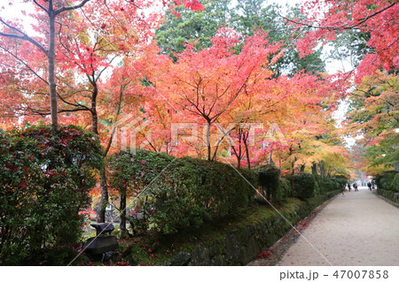 秋の高野山町 秋の高野山町 47007858