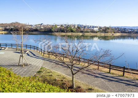 愛知県　尾張旭市　維摩池 47007973