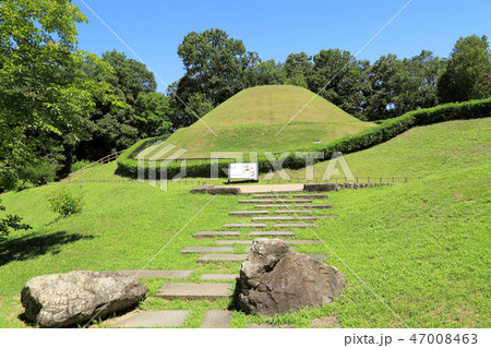 高松塚古墳 高松塚古墳 47008463