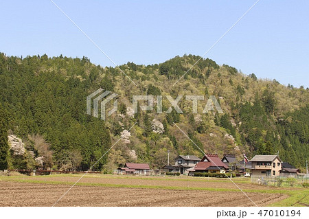 山国盆地の里山と山桜 47010194