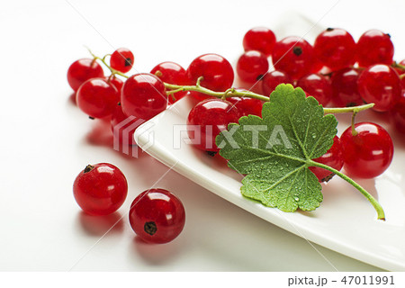 Currant berries Currant berries 47011991