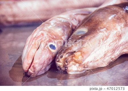Fish market in Trogir, Croatia, purple filter 47012573