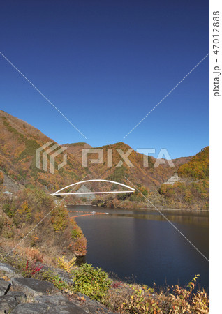 紅葉のみずがき湖 紅葉のみずがき湖 47012888