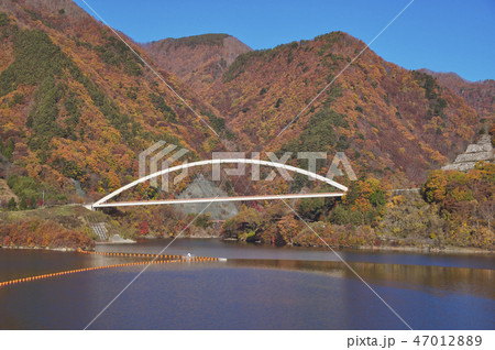 紅葉のみずがき湖 47012889