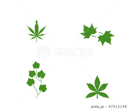 green leaf ecology nature element vector icon 47013149