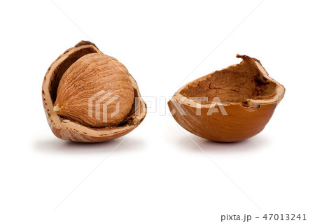 Hazelnuts isolated on white background Hazelnuts isolated on white background 47013241