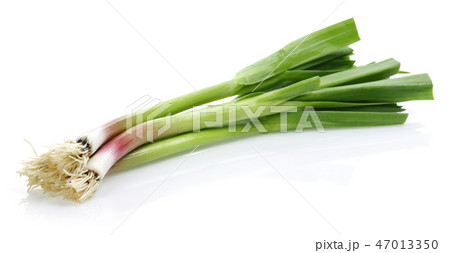 Fresh green garlic on white background Fresh green garlic on white background 47013350