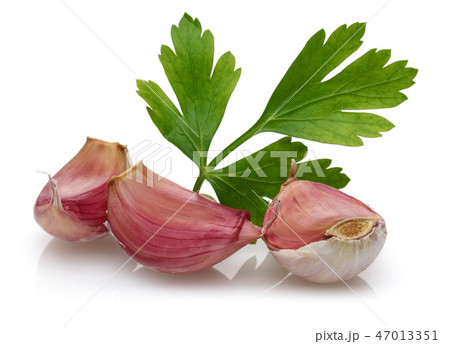 Garlic cloves with parsley on white background Garlic cloves with parsley on white background 47013351