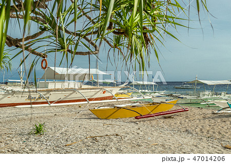 Boats in the beach shores of Balicasag Island, near Panglao, Philippines. 47014206