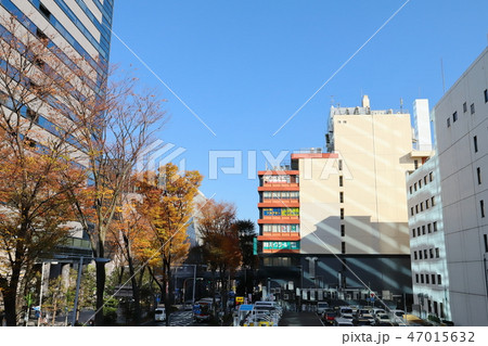 武蔵小杉駅前風景　紅葉 47015632