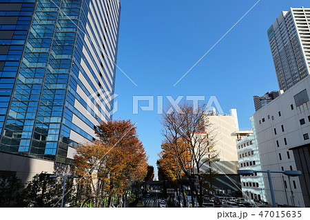 武蔵小杉駅前風景 紅葉 武蔵小杉駅前風景 紅葉 47015635