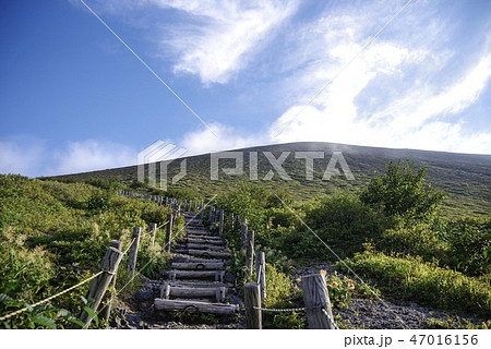 樽前山の入り口から見上げる(北海道・8月) 47016156