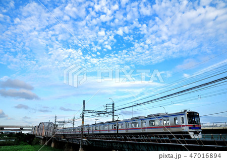 うろこ雲と荒川橋梁を渡る京成電車 うろこ雲と荒川橋梁を渡る京成電車 47016894