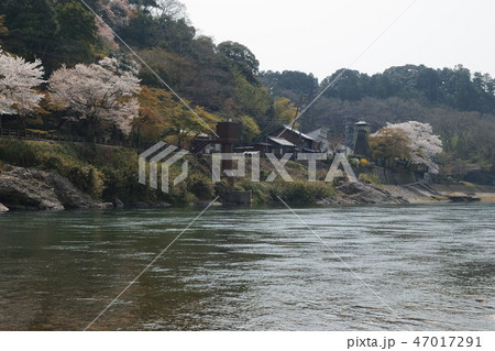 桜堤の美濃市の川湊　川湊灯台 47017291