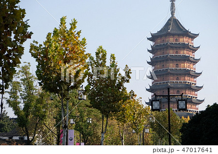 報恩寺塔 路上より撮影 報恩寺塔 路上より撮影 47017641